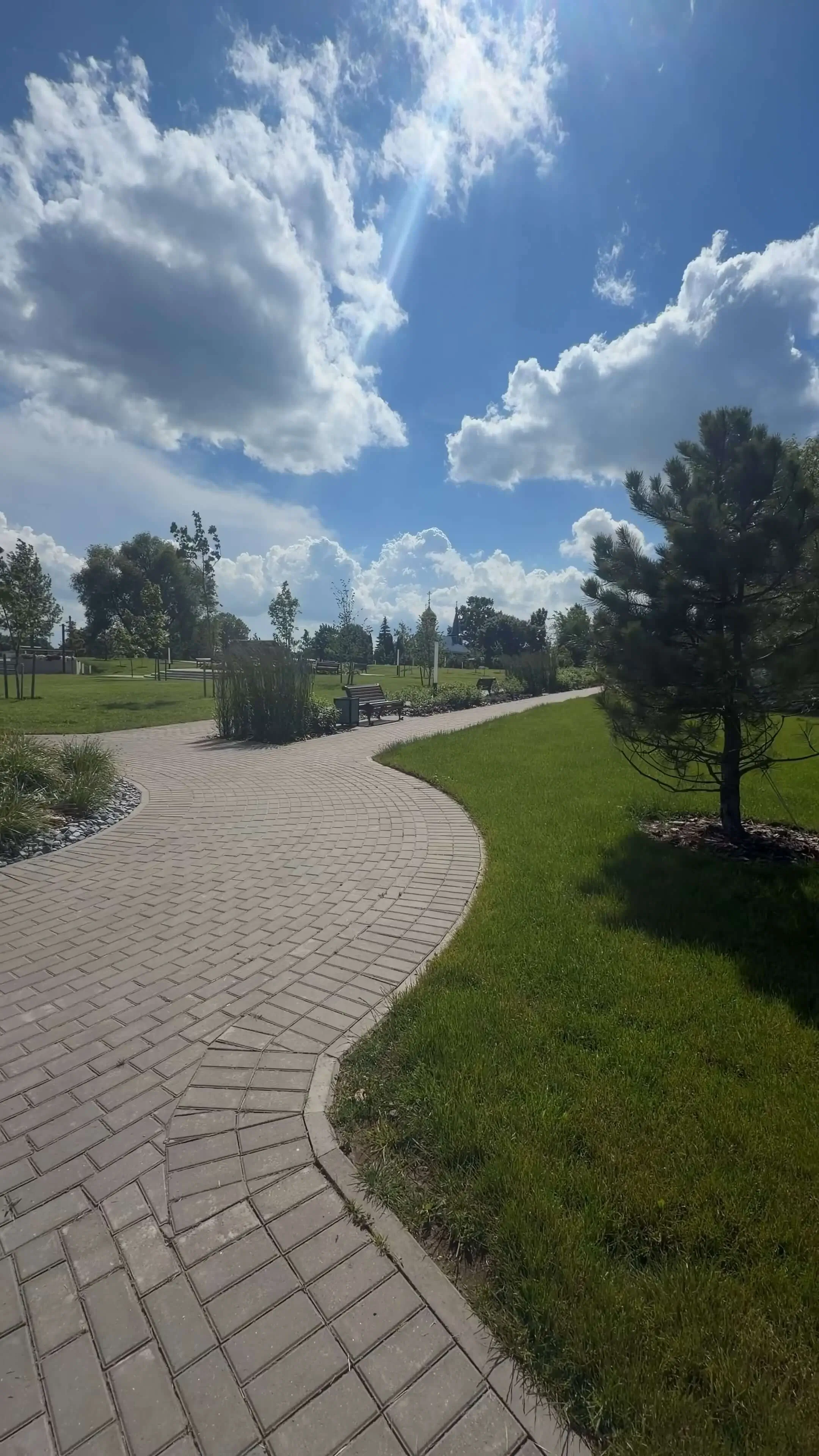 Аллея парка