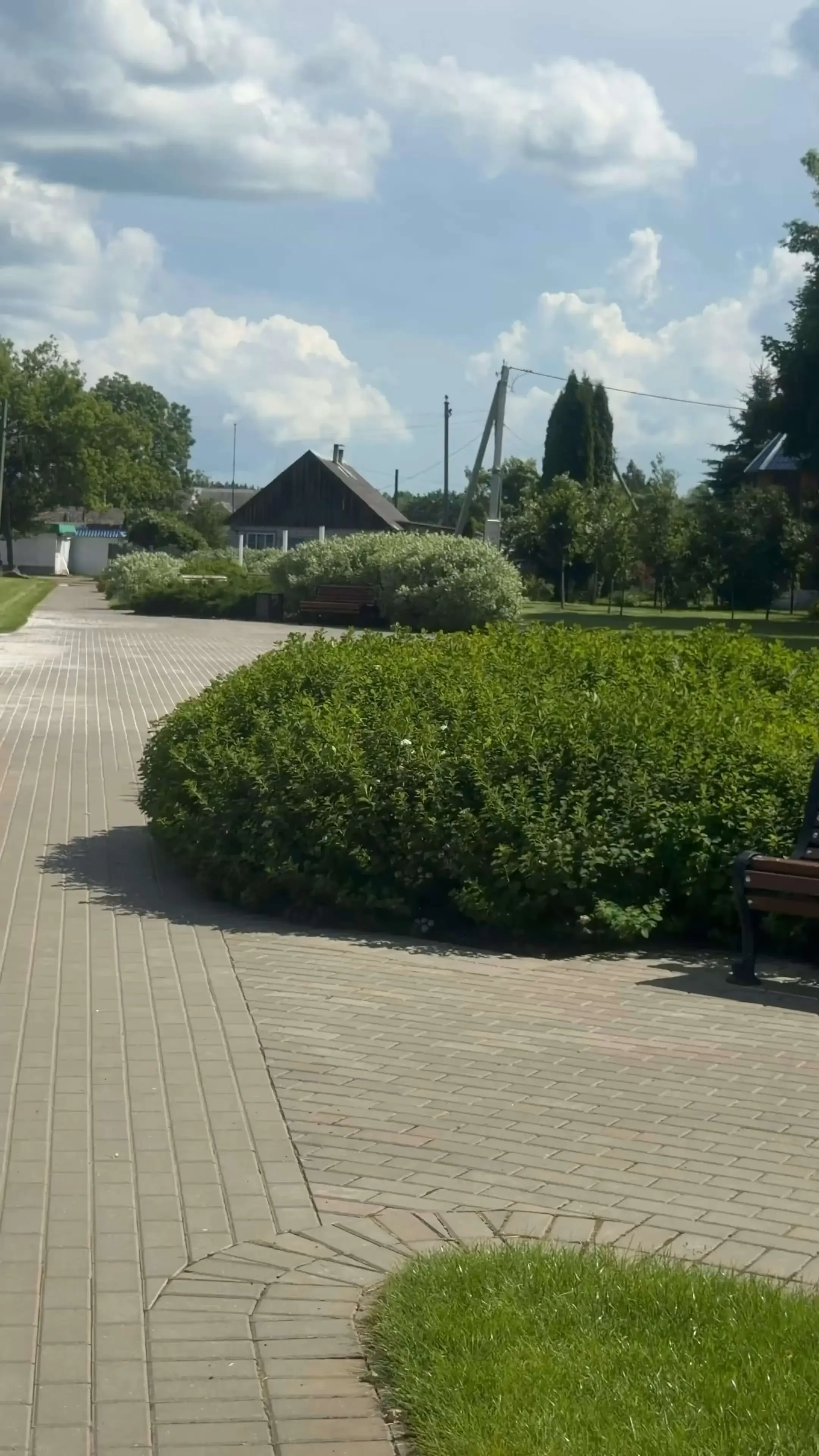 Пруд в парке