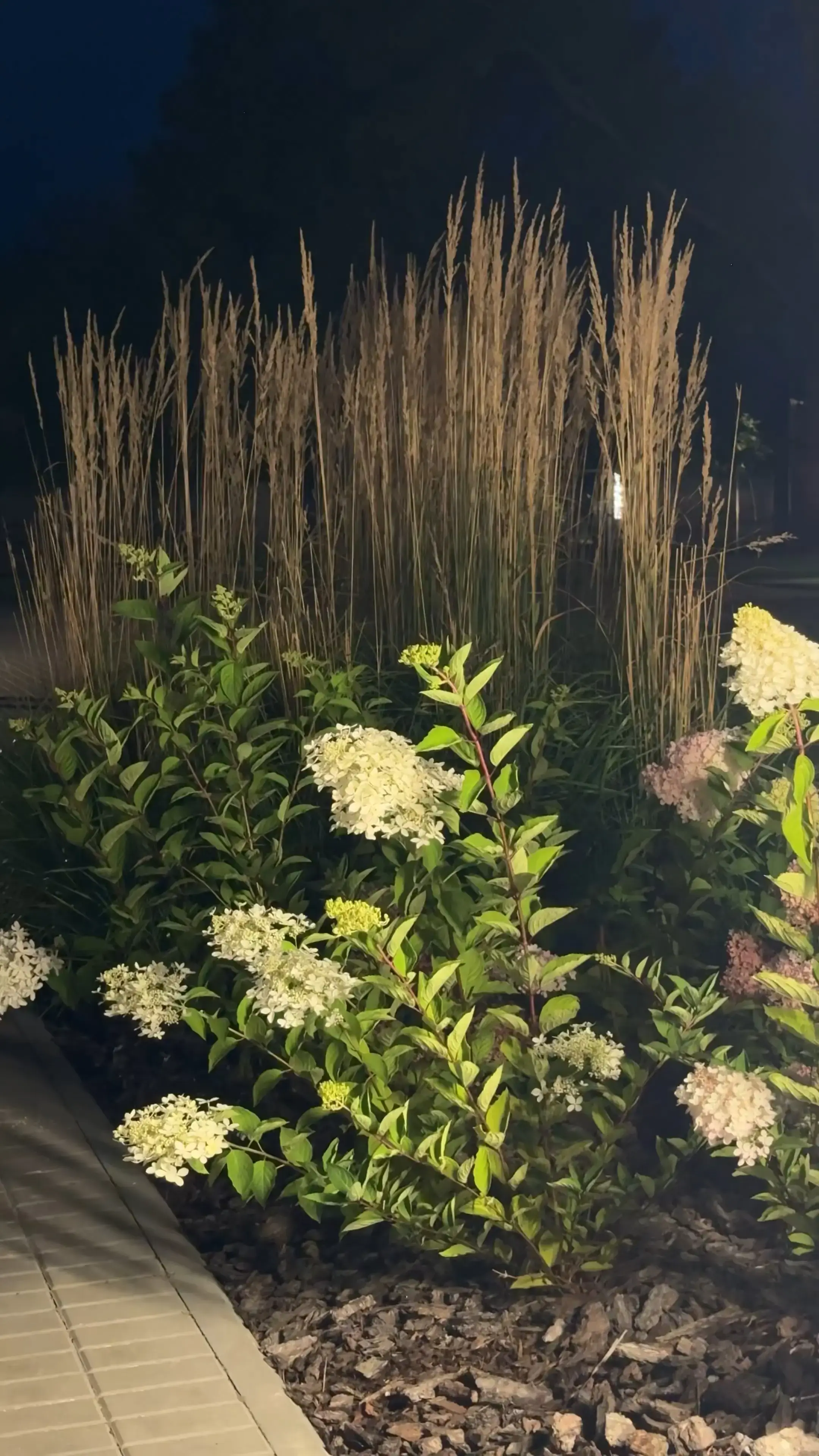 Скамейки и дорожки