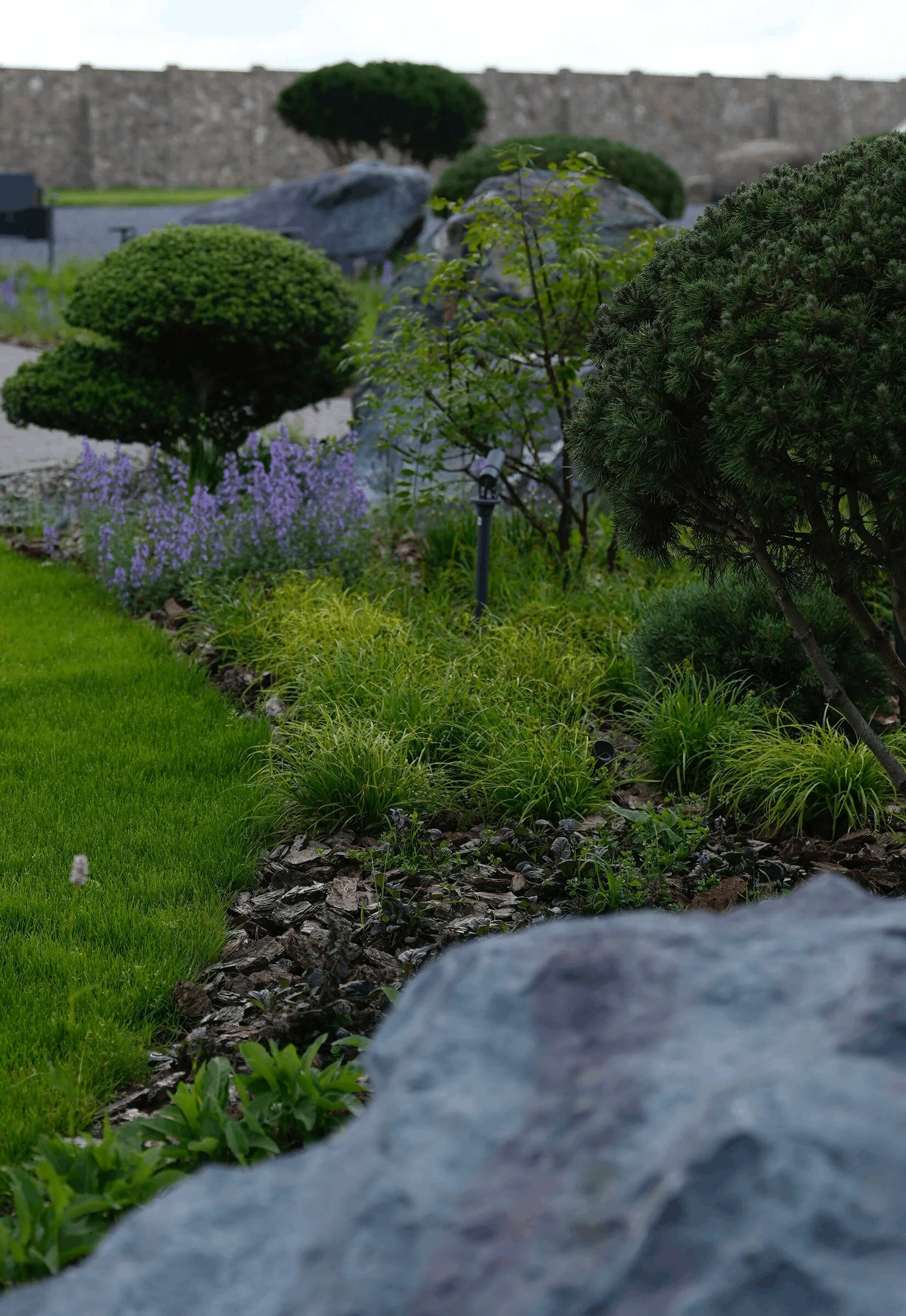 Декоративные посадки