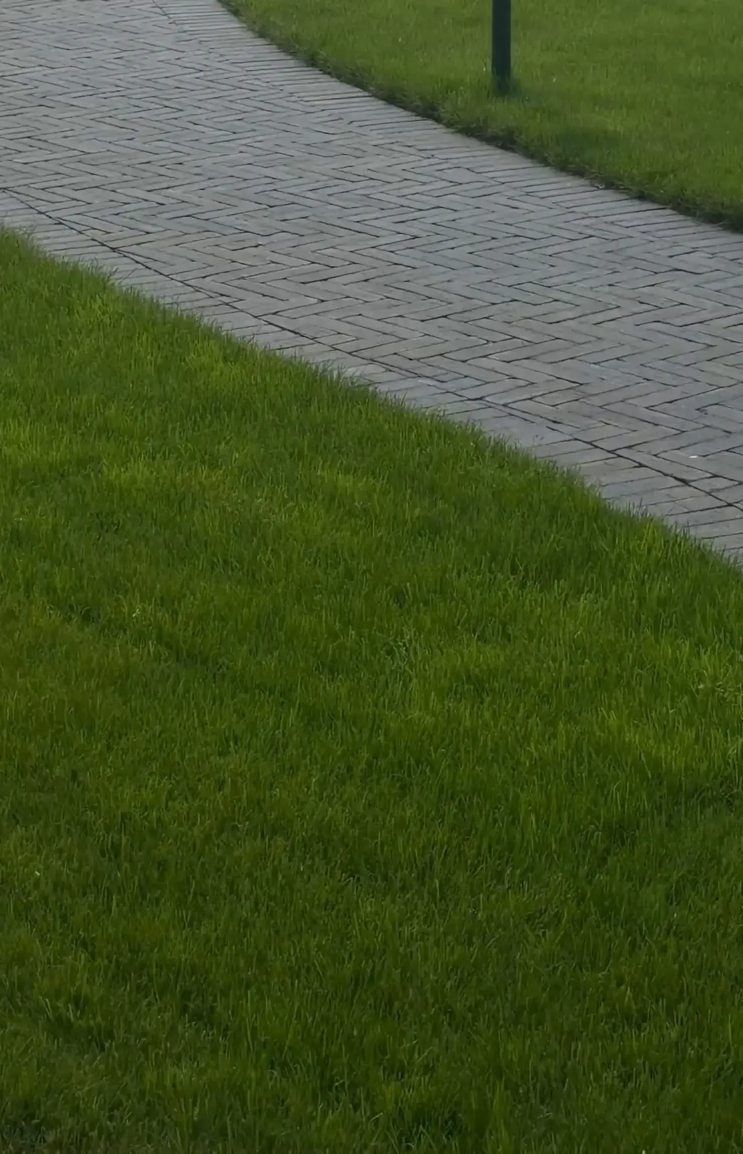 Освещение парка